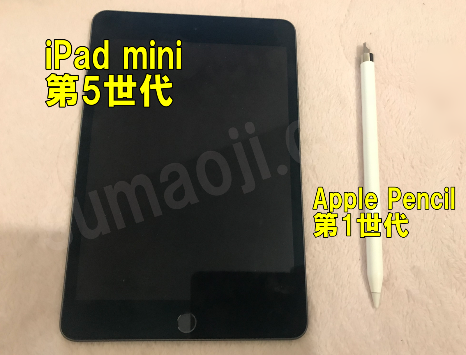 <美品>iPad mini 5世代　64GB Apple Pencil1 付属