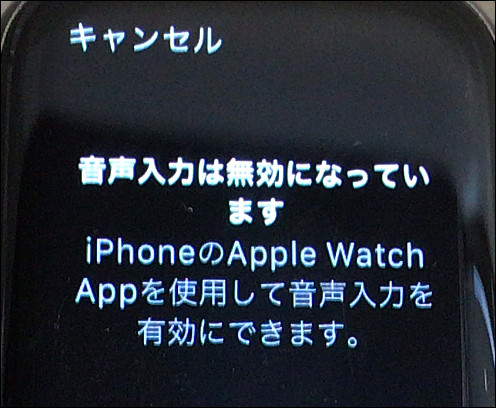公式通販にて購入 Apple ※音声入力不可 40mm Series4 Watch 腕時計(デジタル)